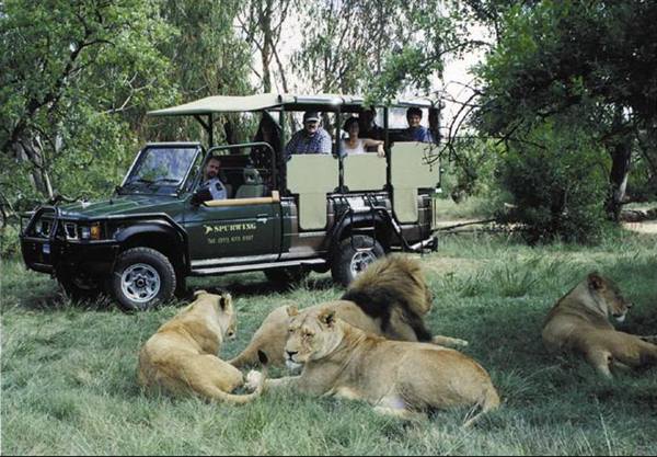4 x 4 Jeep on Game Drive