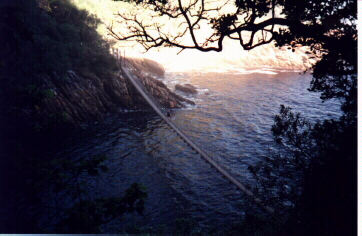 Storms River Hanging bridge