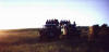 Safari jeep at sundown