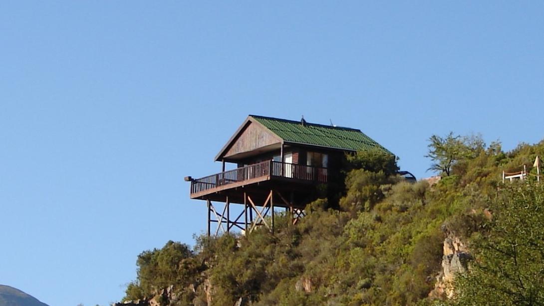 Wildlife and safari in South Africa