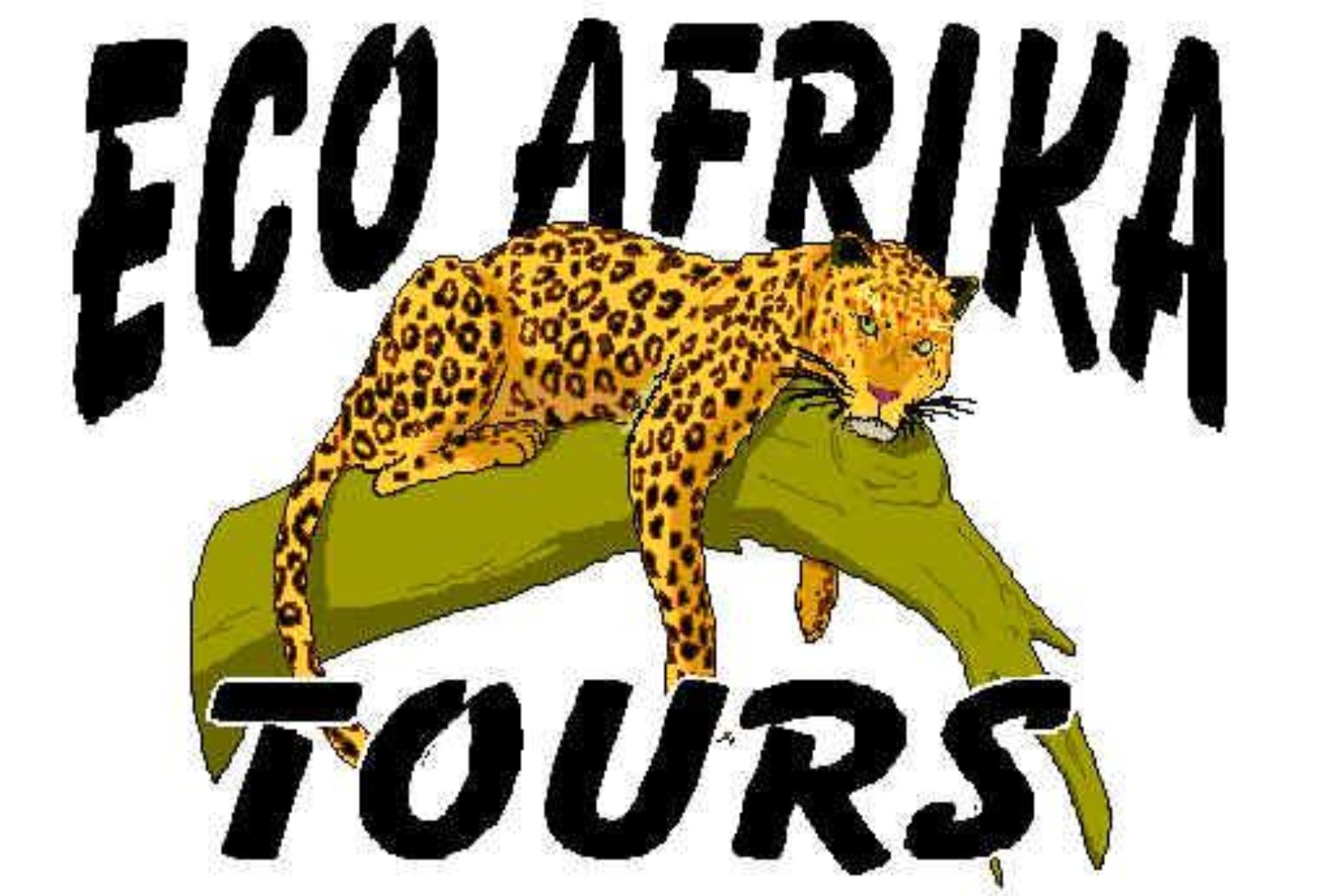 Eco Afrika Tours